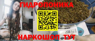 стафф Кимры