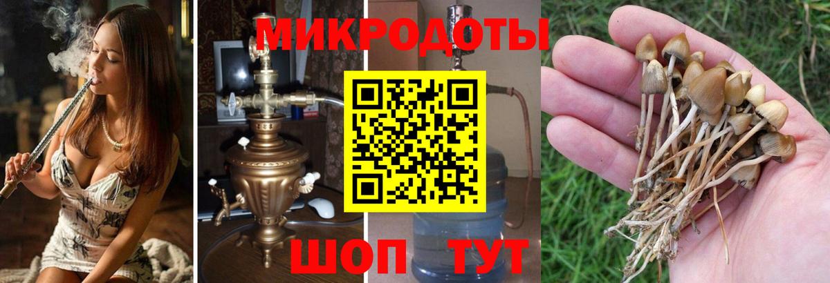 Кумертау  Галлюциногенные грибы ЛСД  купить наркотик  Вход с VPN 